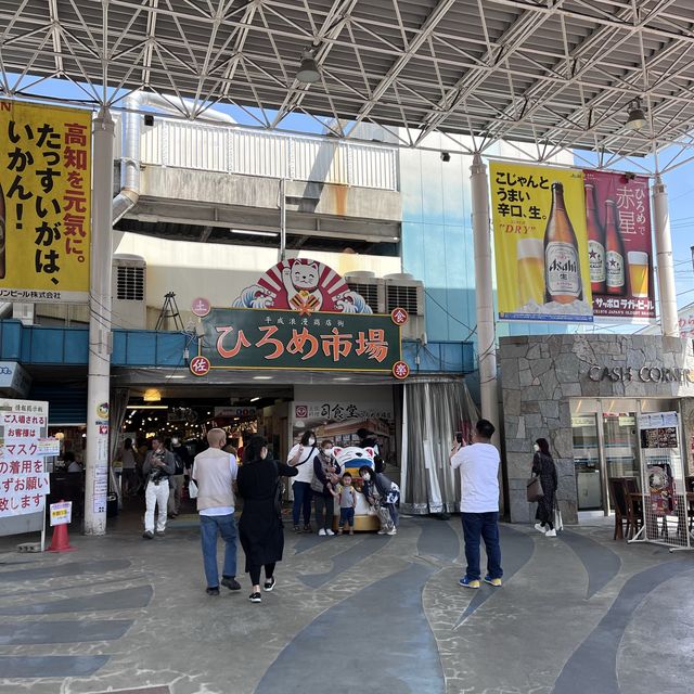 【高知】美食グルメが集まるスポット！ひろめ市場