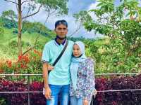 BOH TEA CENTRE, CAMERON HIGHLANDS !! 🍃