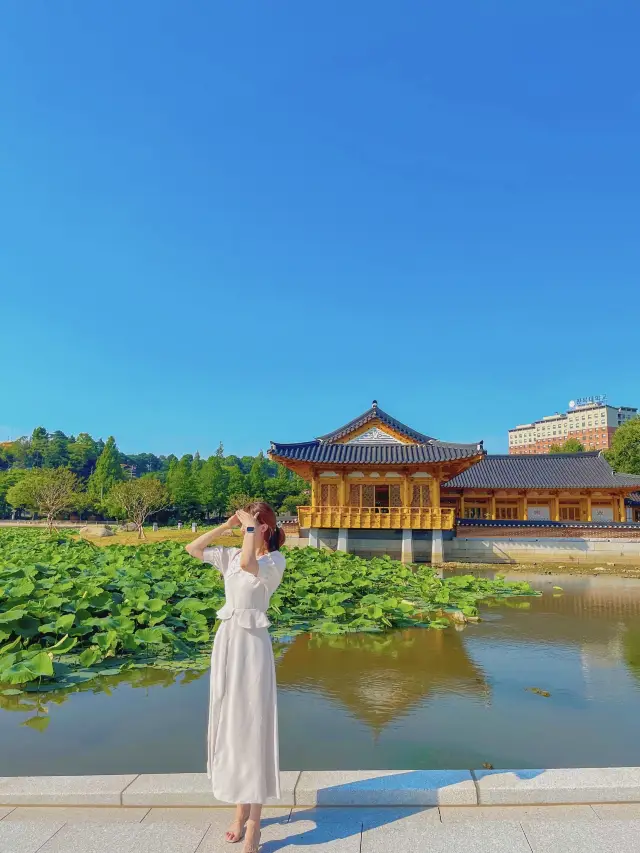 전주 덕진공원, 연꽃속의 한옥도서관 “연화정도서관”