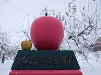 浪漫夢幻雪祭｜青森