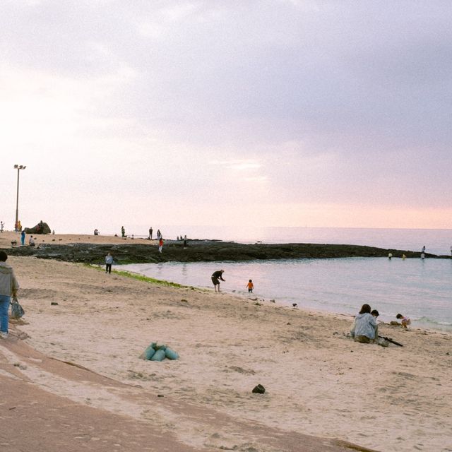 협재해수욕장이 보이는 발리감성 카페🌴