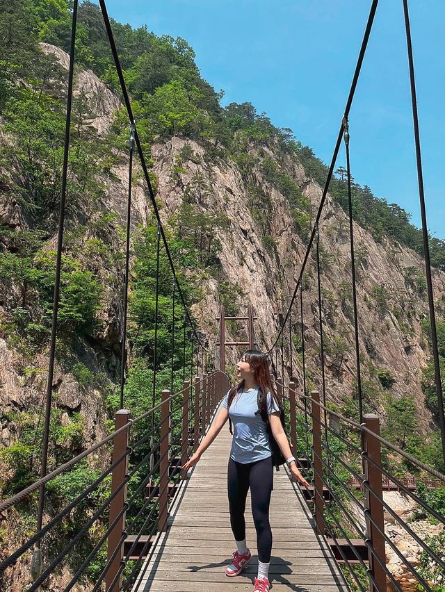 등린이도 도저언!! 설악산 토왕성폭포전망대 코스⛰