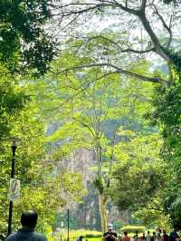 Morning Walk @BukitBatok Nature Park