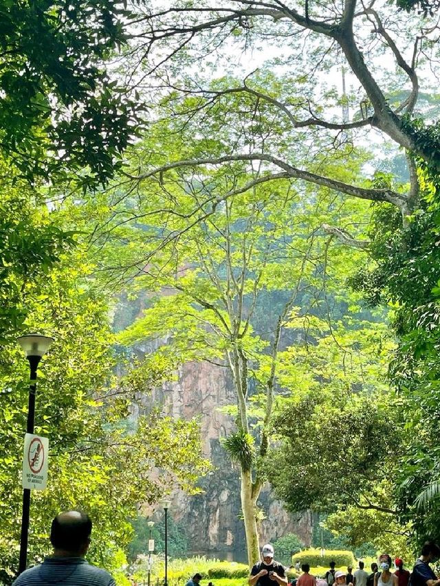 Morning Walk @BukitBatok Nature Park