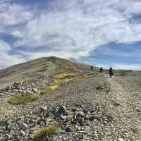 뉴질랜드 남섬🇳🇿 로버트 산맥을 따라 걸어보아요⛰