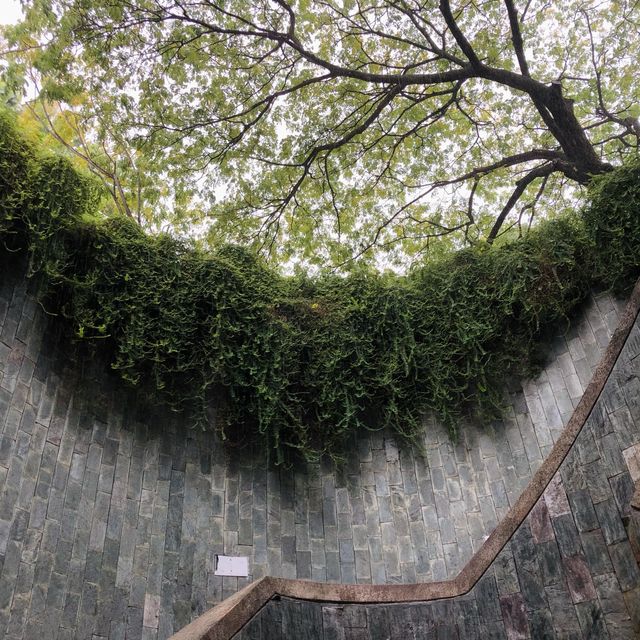 Fort Canning Tree Tunnel