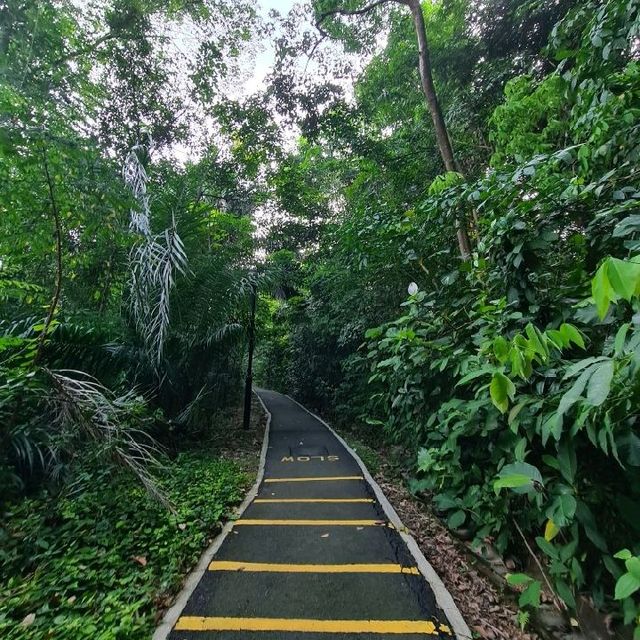 Hike up a hill to a neighbourhood park