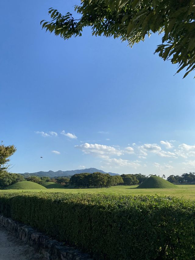 어릴적 추억을 돋구는 경주 첨성대 🤍