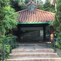  Visit the Largest Park in Downtown Kowloon 
