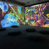 去大館扮去teamlab - 《潛入你眼簾— 皮皮樂迪‧里思特》,