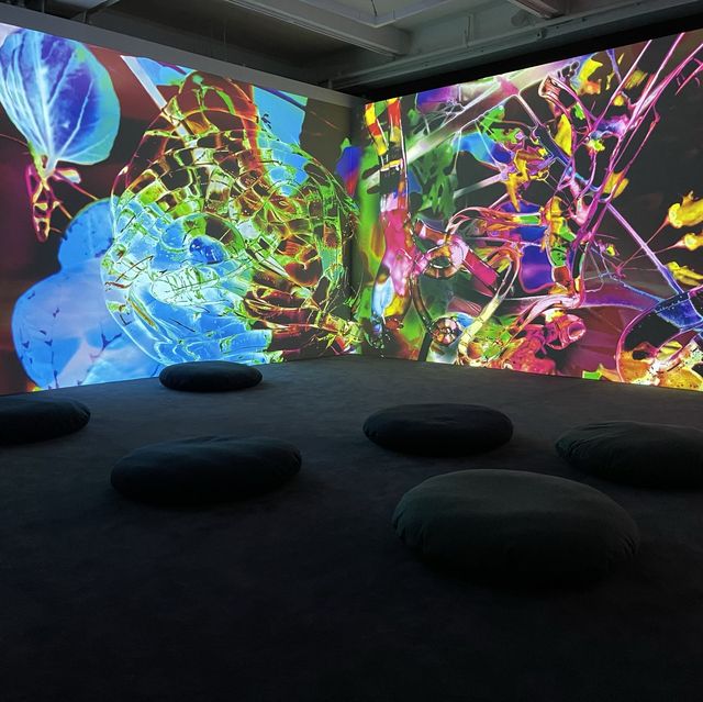 去大館扮去teamlab - 《潛入你眼簾— 皮皮樂迪‧里思特》,