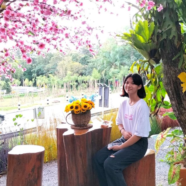 โค้งปิ้งงู
