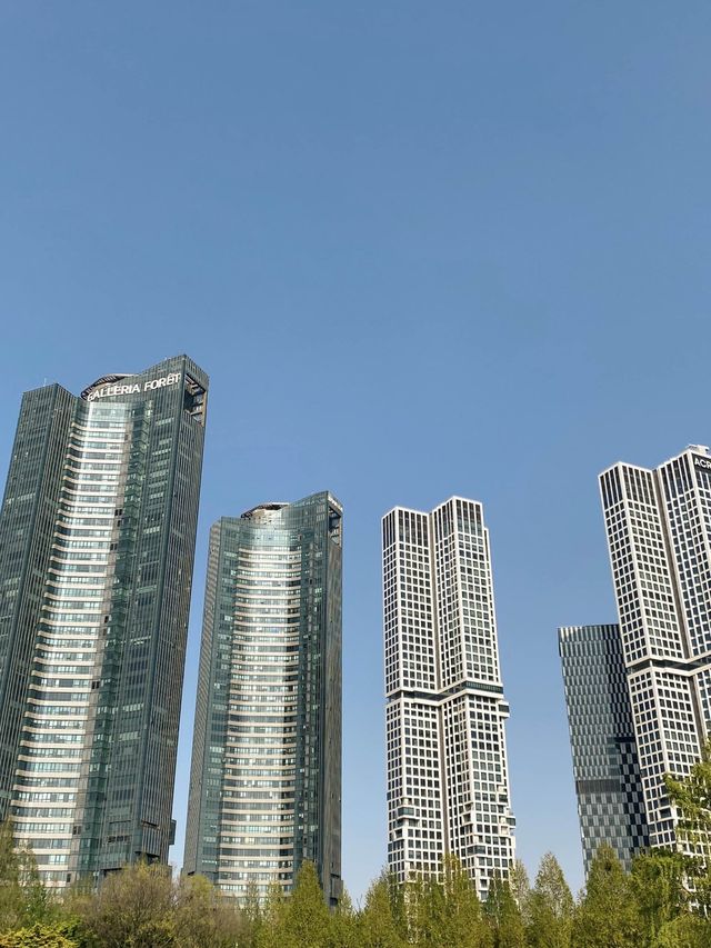드넓은 잔디밭이 펼쳐져있는 이 곳! 서울숲을 소개합니다
