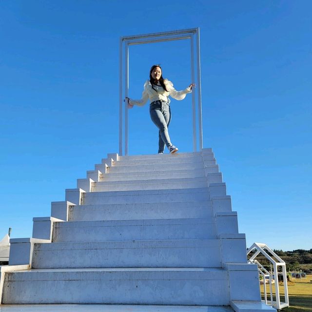 표선 성읍 목장카페 드르쿰다