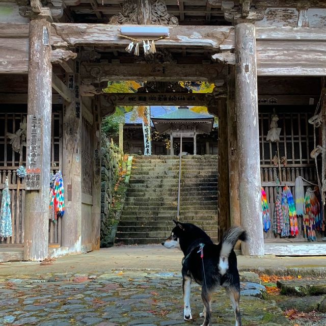 紅葉が素晴らしく　即身成仏のミイラがある珍しいお寺