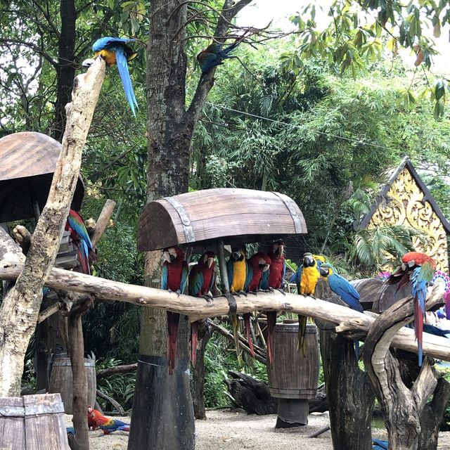 Safari World in Bangkok 🦒🐅🦓