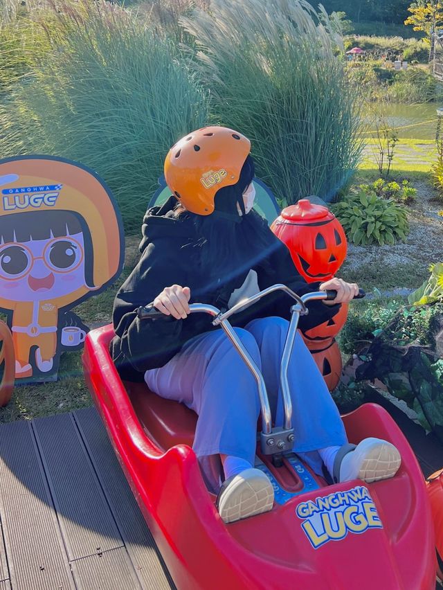 🏎스피드한 액티비티를 즐기려면 강화루지로!! 🏎