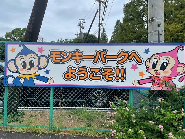 小さい子向きな遊園地！🎡