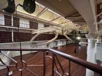 What’s inside the Perth Museum!