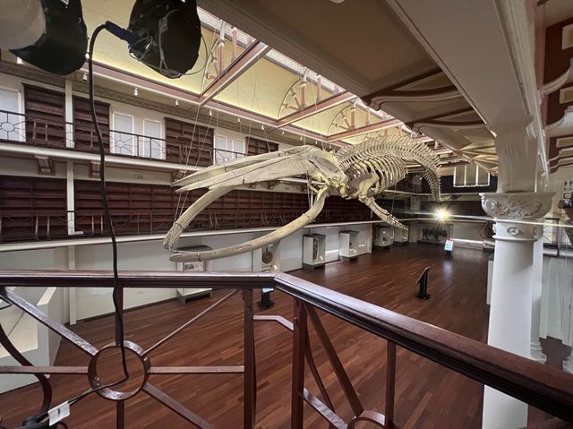 What’s inside the Perth Museum!