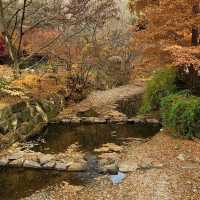 Hanging Bridge