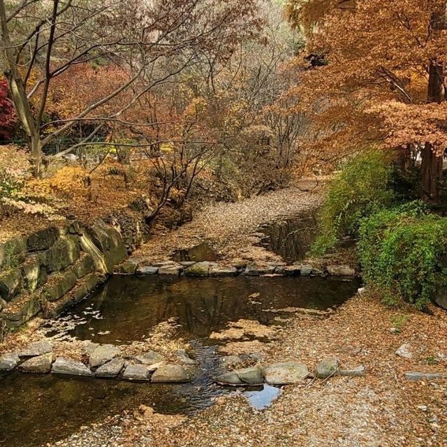 Hanging Bridge