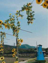 偽日本花田遊🌻