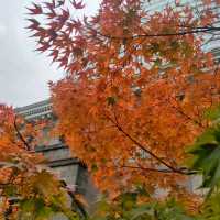 東京 新橋 "紅葉の旧新橋停車場駅舎"         ヨーロッパ!?、新橋です!! 緑・黄・オレンジ・赤、カラフル!!