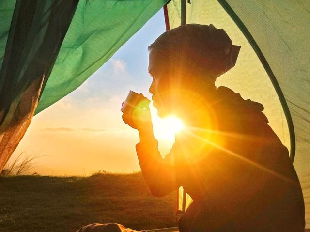 Mt. Pulag - Playground of the Gods