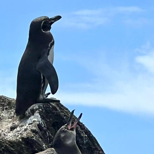 Charles Darwin himself was stunned