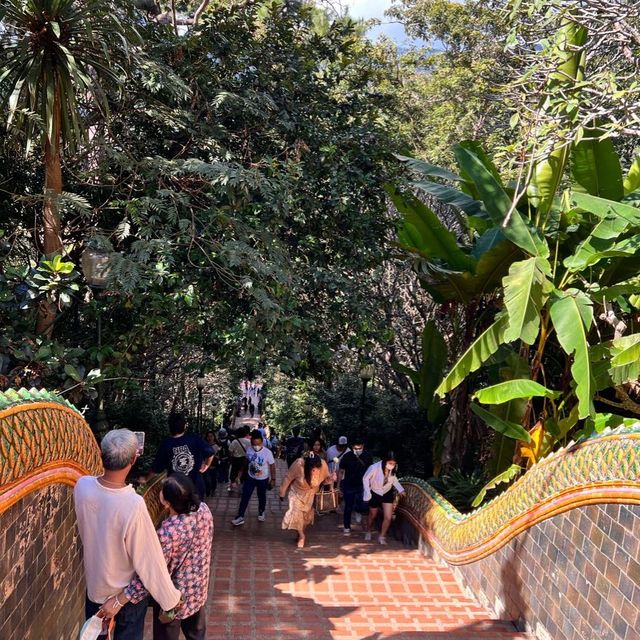 เดินขึ้นพระธาตุดอยสุเทพสุดสัปดาห์😅