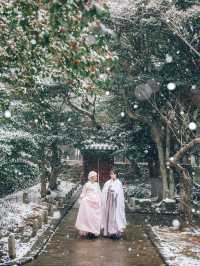 제주에 눈이 내리면 제일 먼저 달려가야 할 곳☃️