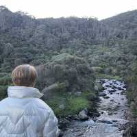 Road trip ติดอันดับโลก ที่ Great Ocean Road 