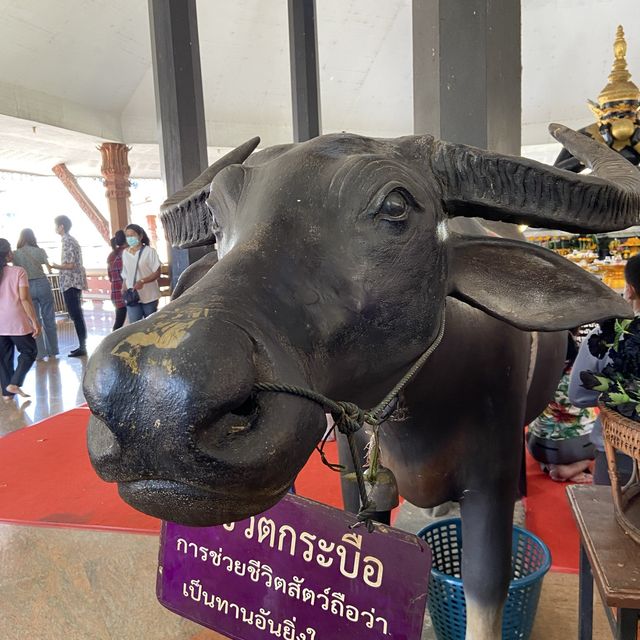 พระราหู วัดศรีษะทอง🌑