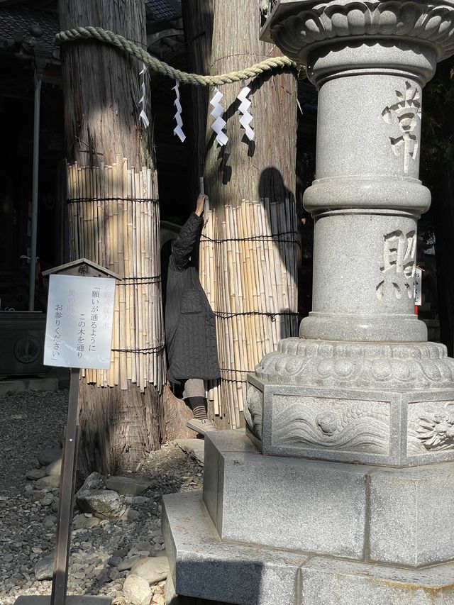 豊川稲荷⛩初詣　