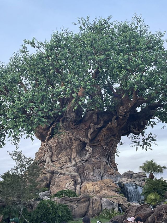 Disney’s Animal Kingdom Orlando