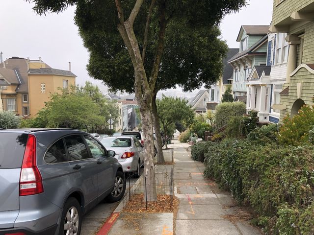 Corona Heights - San Francisco 