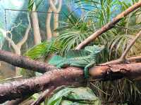 Toledo Zoo and Aquarium - Toledo, USA