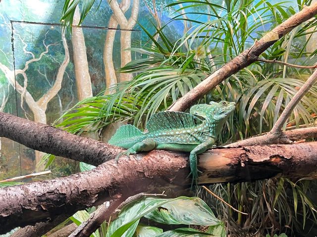 Toledo Zoo and Aquarium - Toledo, USA