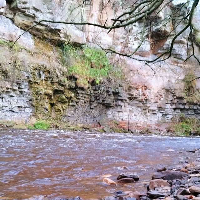 Easy Hike through Roslin Glen forest 