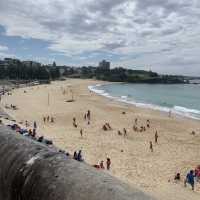 A Surfer Paradise awaits you in Coogee.