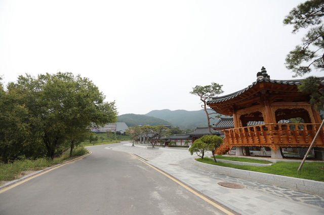 용인 대장금파크 최대규모 놀랍다!