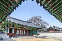 서울 고궁 산책 "창덕궁"