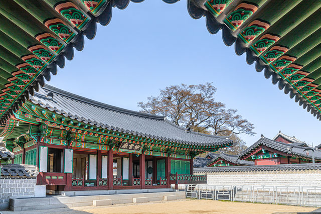 서울 고궁 산책 "창덕궁"