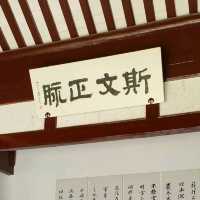 美的力量丨中国美术学院