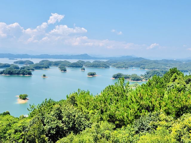 Thousand Island isn’t just a dressing!Go&C! Thousand Island isn’t just a dressing!Go&C!