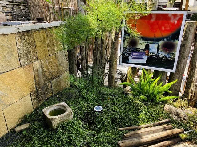 Seeing greenery & rare plants of Zhenshan  Seeing greenery & rare plants of Zhenshan