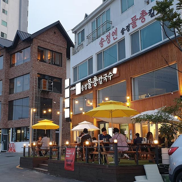 바다가 보이는 부산 송정의 맛집 송정 물총 칼국수 