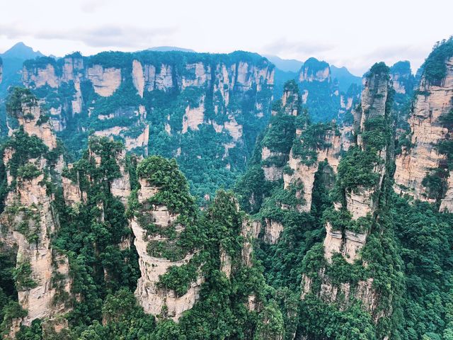 Avatar Mountains in Zhangjiajie, China🇨🇳🌎