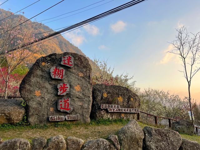 Spring in Alishan